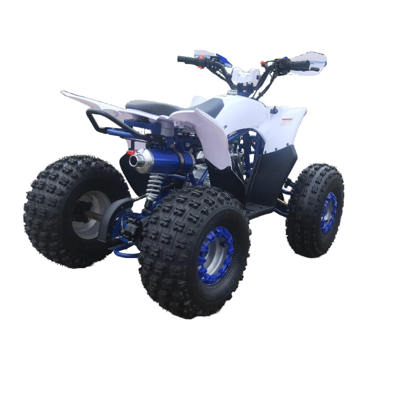 High quality 125cc 4x2 ATV for adults for kids four wheeler atv for sale FL-125ZY